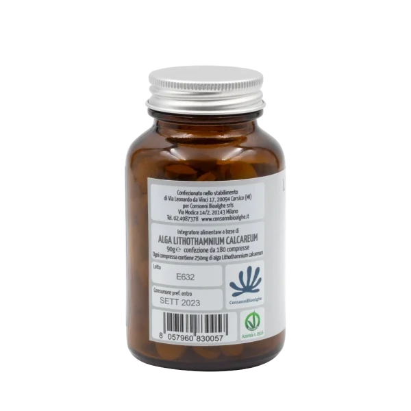 Lithothamnium Calcareum - immagine 4
