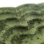 Clorella Biologica polvere - immagine 2