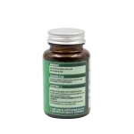 Chlorella - immagine 3