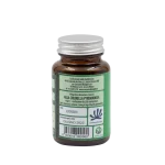 Chlorella - immagine 4