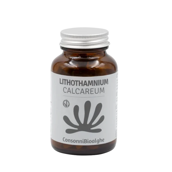 Lithothamnium Calcareum,  combatti l’osteoporosi e rinforza le ossa con quest’alga minerale, ricca di calcio, magnesio e silicio nelle giuste proporzioni e dall’elevatissima biodisponibilità.