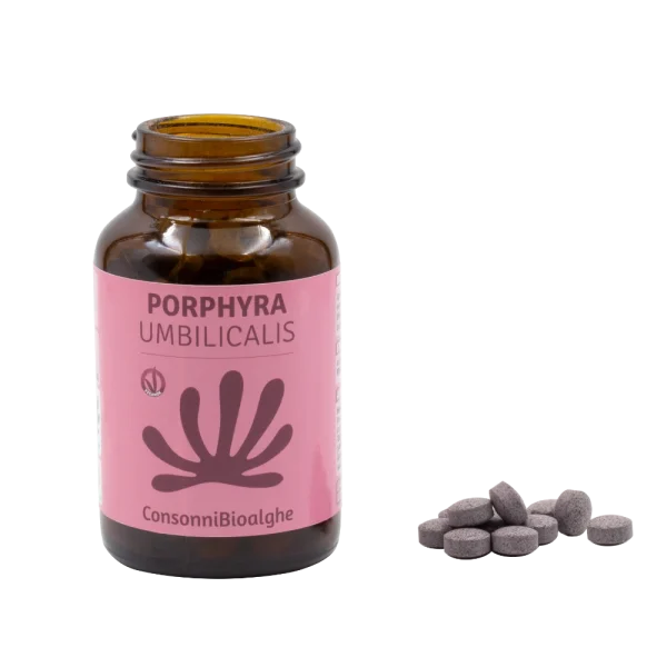 Porphyra Umbilicalis - immagine 4