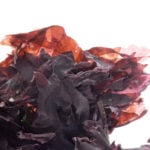 Dulse BIO Foglie - immagine 2