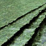 Nori Alga per Sushi - immagine 2