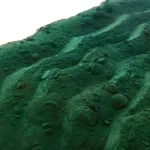 Alga Spirulina Superiore Polvere Bio - immagine 2